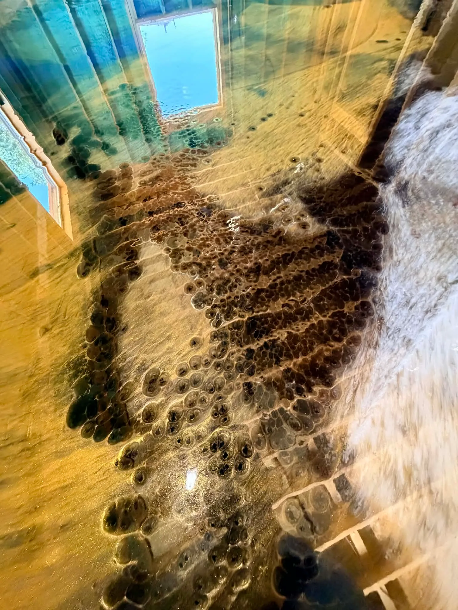 Close view of gold, black, and white cellular movement in metallic epoxy